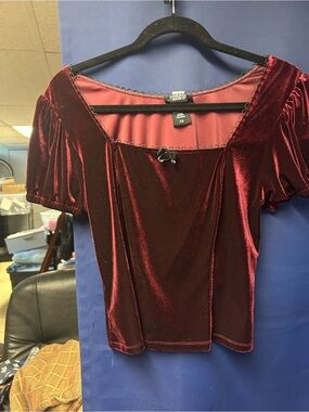 Hot Topic Burgundy Velvet Square-Neck Crop Top